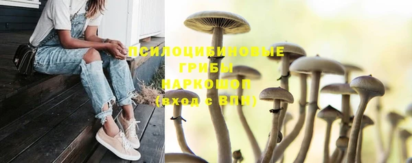 мяу мяу кристалл Арсеньев
