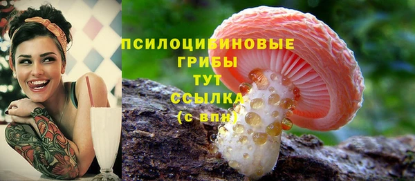 mix Алексеевка