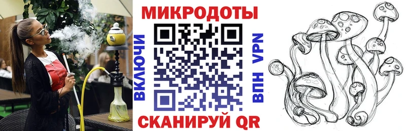Псилоцибиновые грибы Psilocybine cubensis Нарьян-Мар